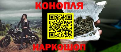 Альфа ПВП Нальчик