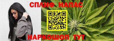 Альфа ПВП Нальчик