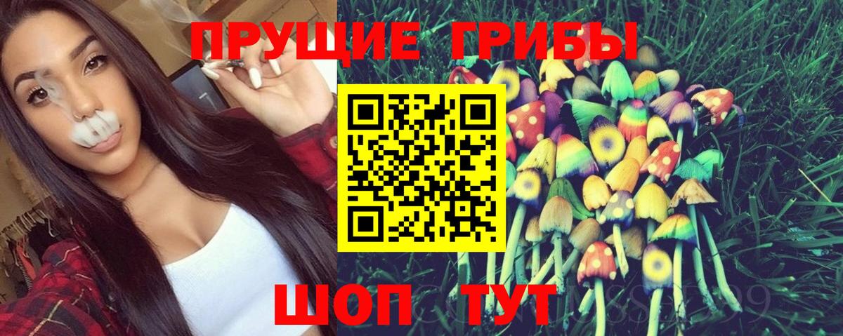 где найти наркотики  Псилоцибиновые грибы мицелий  Вход с VPN  Тверь 