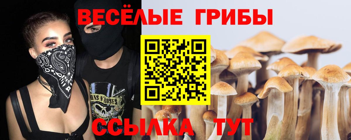 Псилоцибиновые грибы Magic Shrooms Тверь